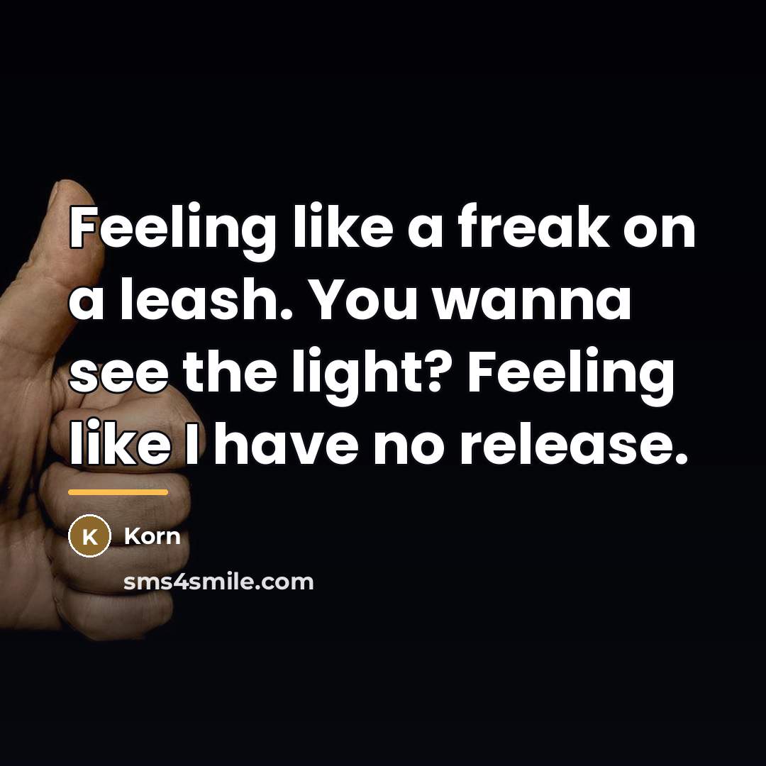 “Feeling like a freak on a leash. You wanna see…” quote by Korn