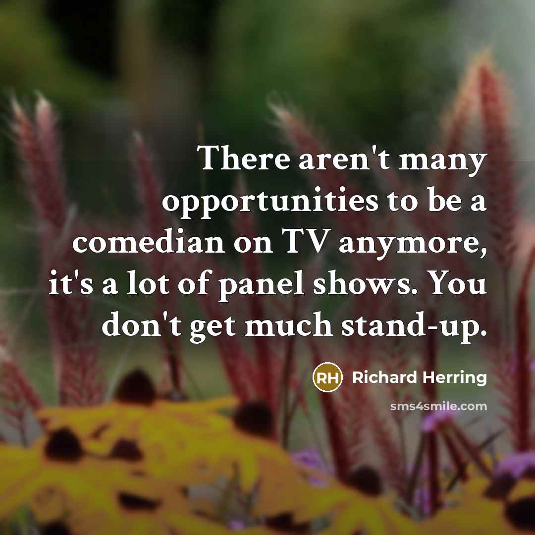 “There aren't many opportunities to be a comedian on TV…” quote by Richard Herring