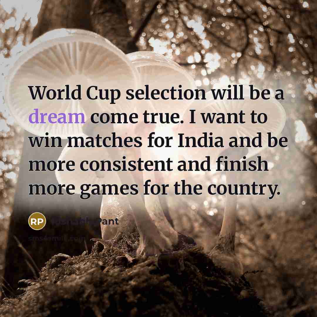 “World Cup selection will be a dream come true. I…” quote by Rishabh Pant