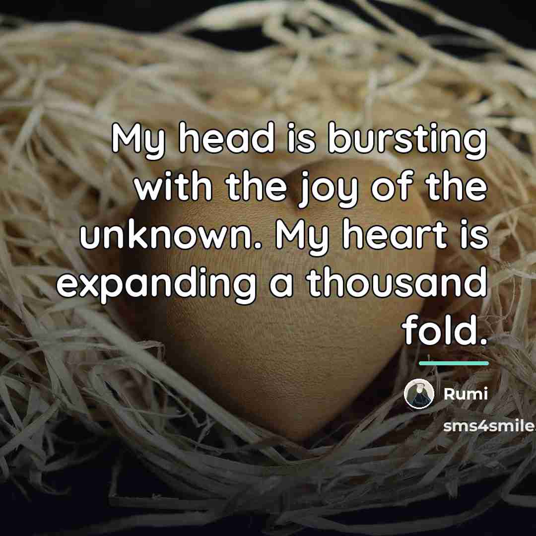 “My head is bursting with the joy of the unknown.…” quote by Rumi