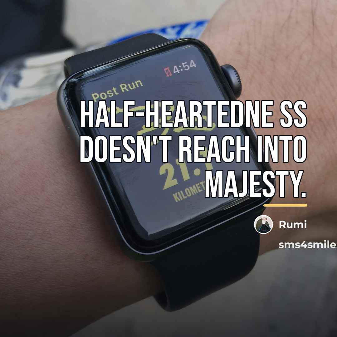“Half-heartedne ss doesn't reach into majesty.…” quote by Rumi