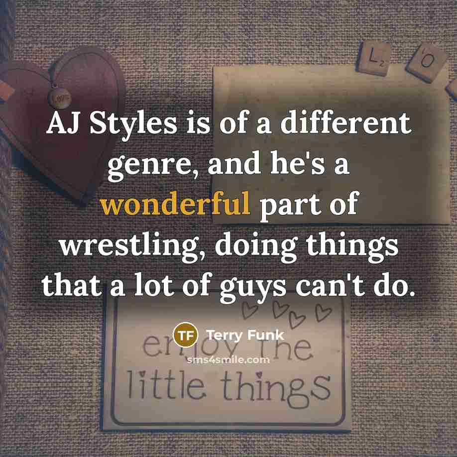 “AJ Styles is of a different genre, and he's a…” quote by Terry Funk