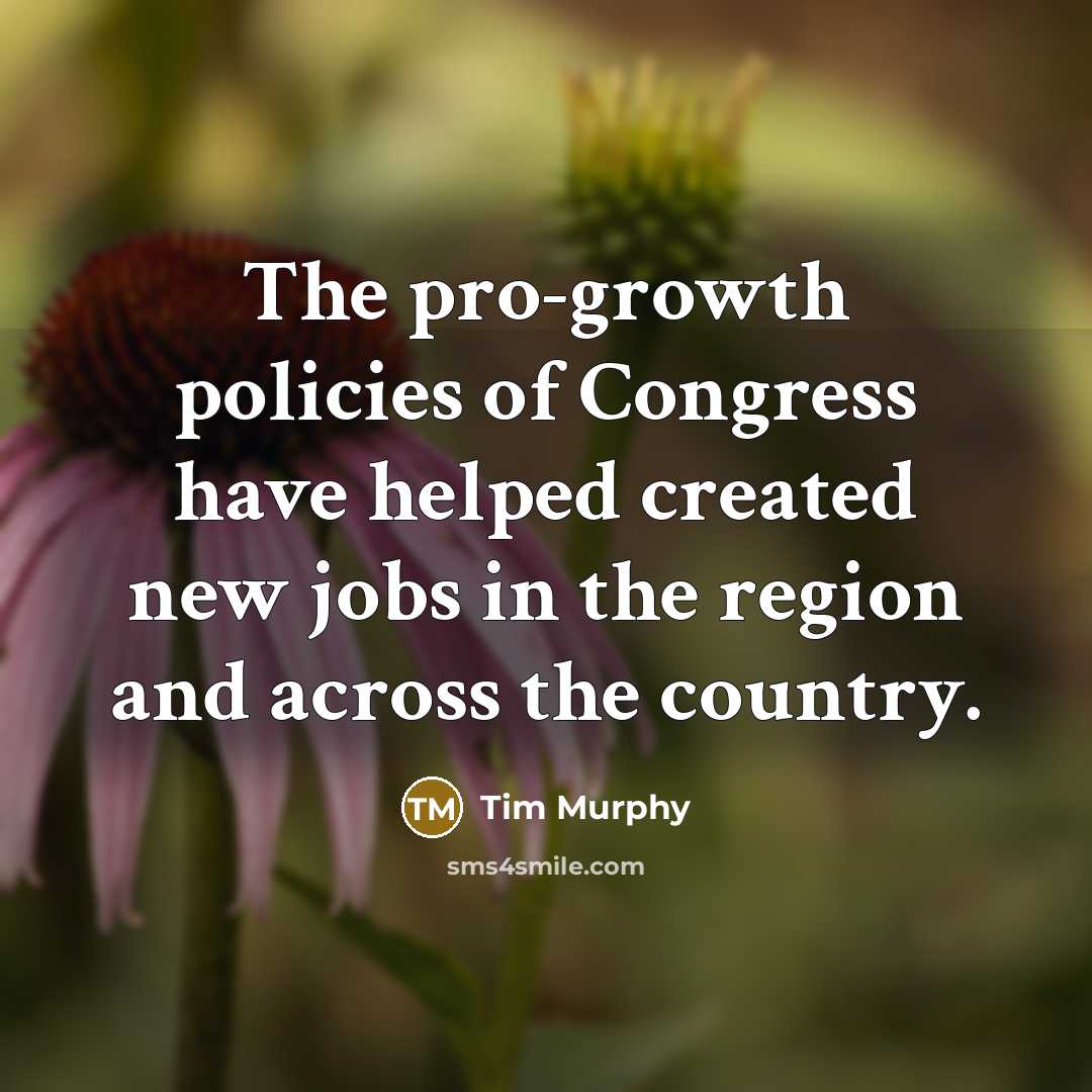 “The pro-growth policies of Congress have helped created new jobs…” quote by Tim Murphy