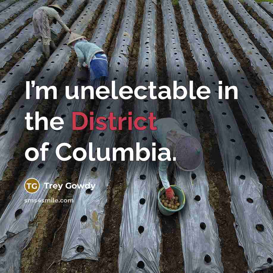“I’m unelectable in the District of Columbia.…” quote by Trey Gowdy