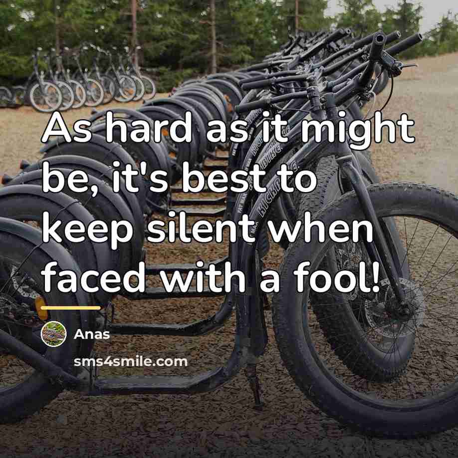 “As hard as it might be, it's best to keep…” quote by Anas