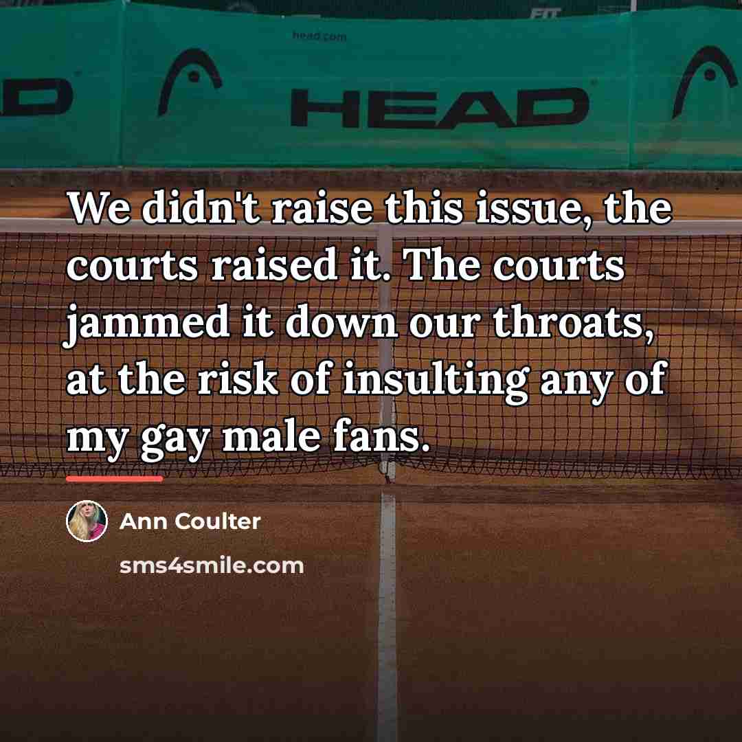 “We didn't raise this issue, the courts raised it. The…” quote by Ann Coulter