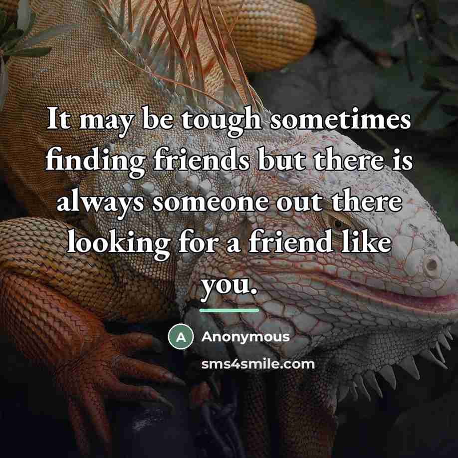 “It may be tough sometimes finding friends but there is…” quote by Anonymous