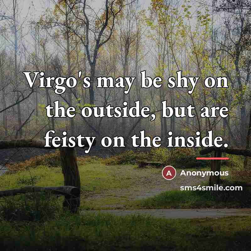 “Virgo's may be shy on the outside, but are feisty…” quote by Anonymous