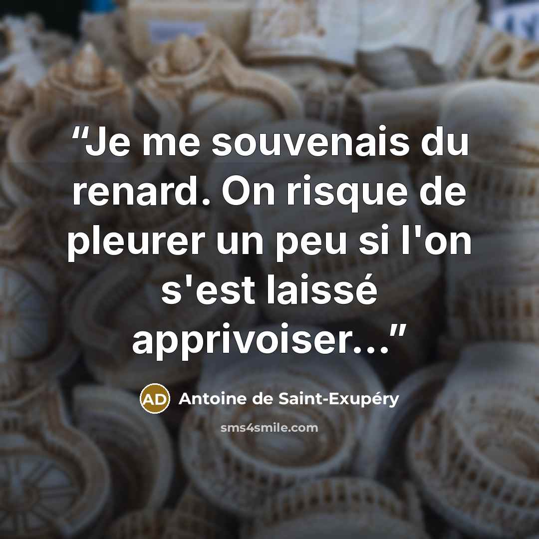 “Je me souvenais du renard. On risque de pleurer un peu si l'on s'est laissé apprivoiser...” quote by Antoine de Saint-Exupéry
