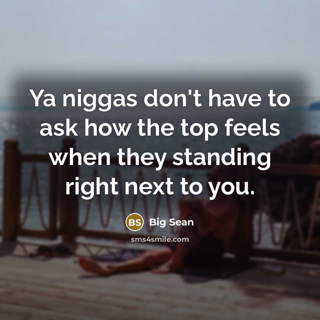 “Ya niggas don't have to ask how the top feels when they standing right next to you.” quote by Big Sean