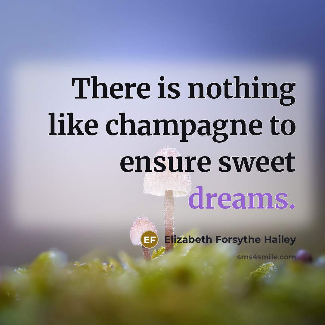 “There is nothing like champagne to ensure sweet dreams.…” quote by Elizabeth Forsythe Hailey