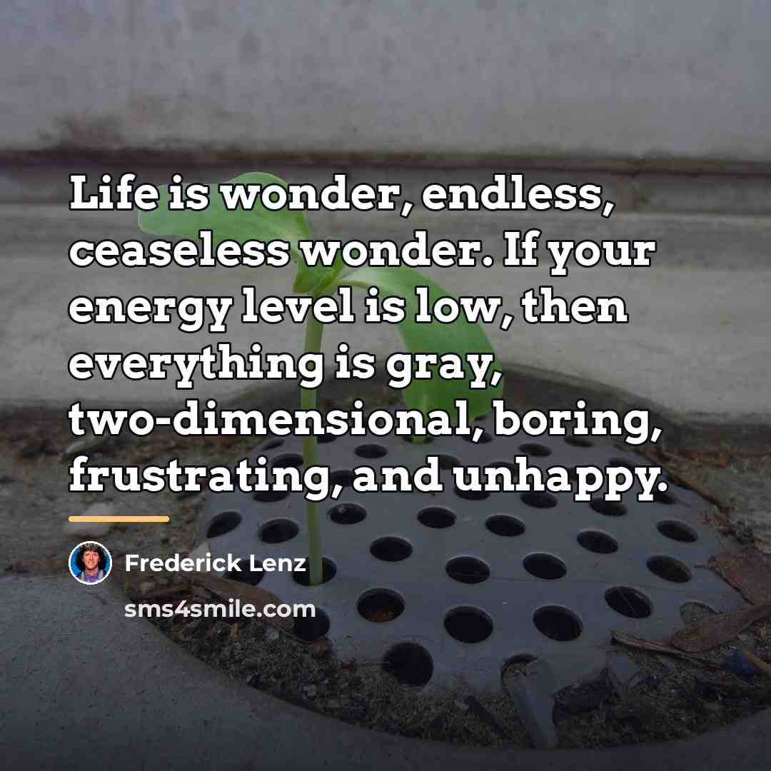 “Life is wonder, endless, ceaseless wonder. If your energy level…” quote by Frederick Lenz
