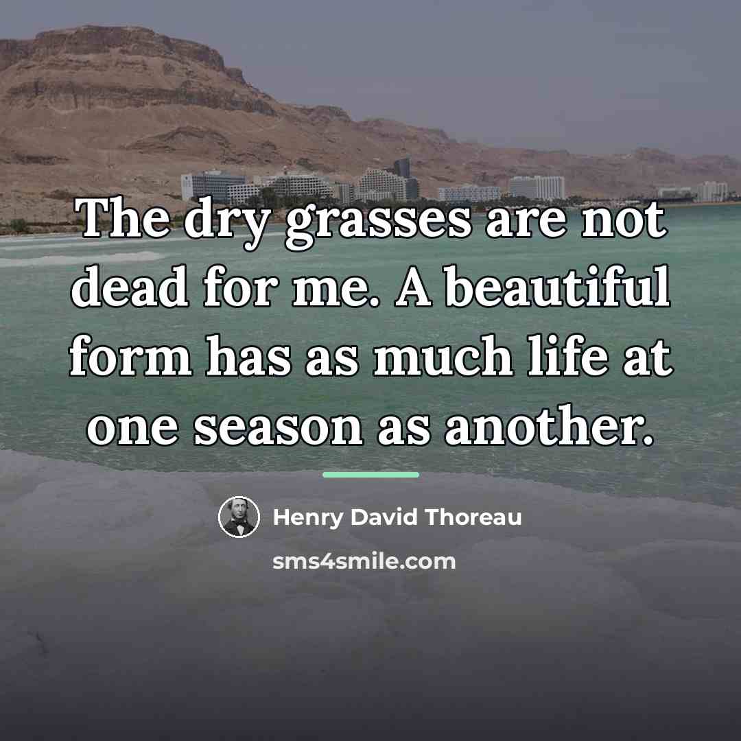 “The dry grasses are not dead for me. A beautiful…” quote by Henry David Thoreau