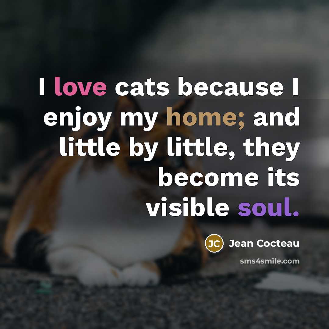 “I love cats because I enjoy my home; and little…” quote by Jean Cocteau