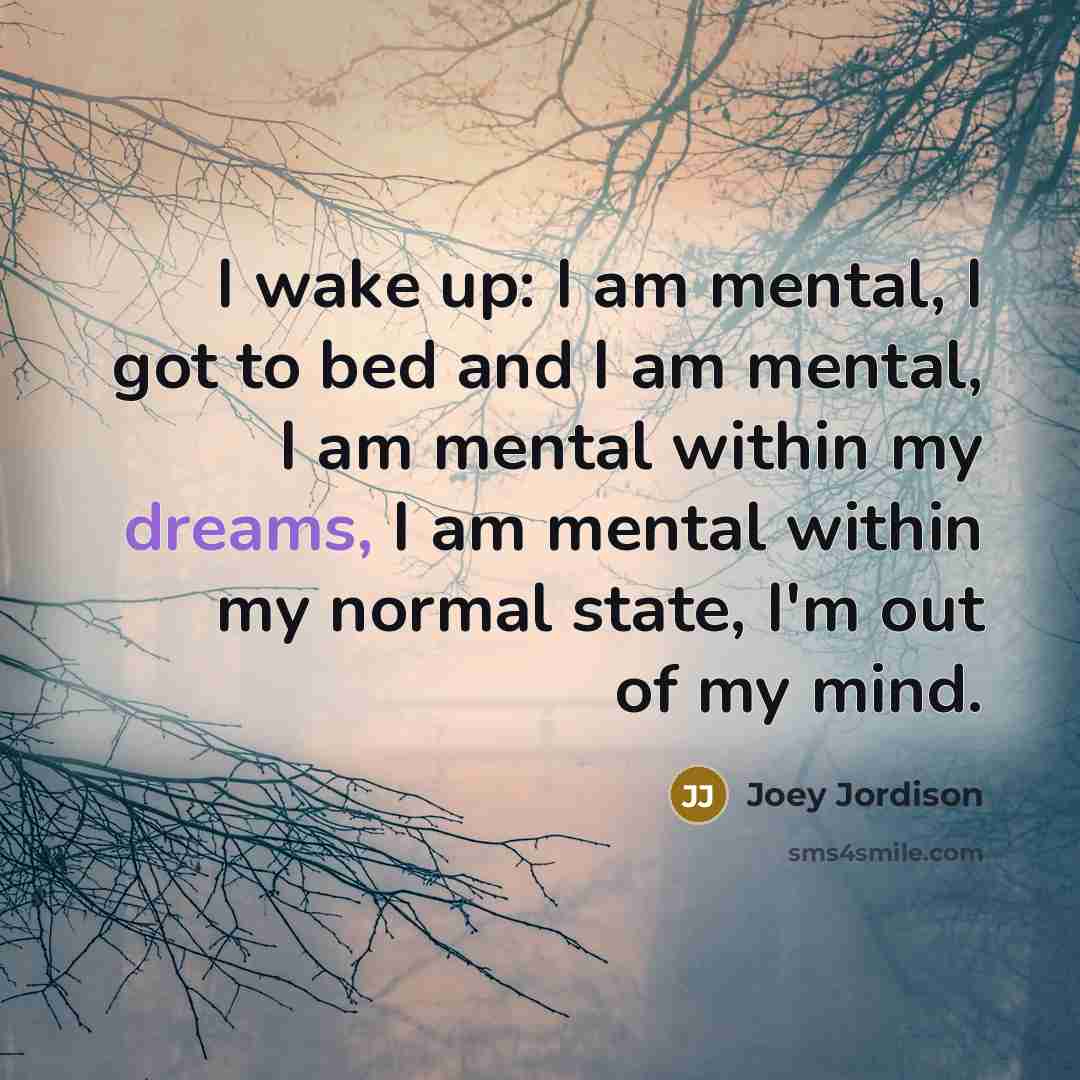 “I wake up: I am mental, I got to bed…” quote by Joey Jordison