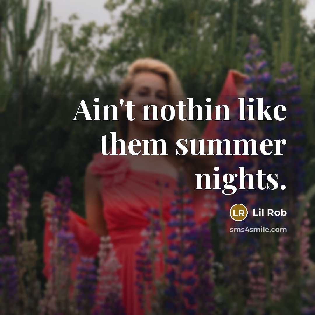 “Ain't nothin like them summer nights.…” quote by Lil Rob