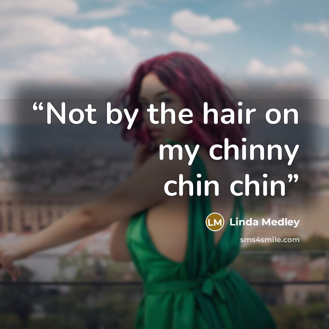 “Not by the hair on my chinny chin chin” quote by Linda Medley