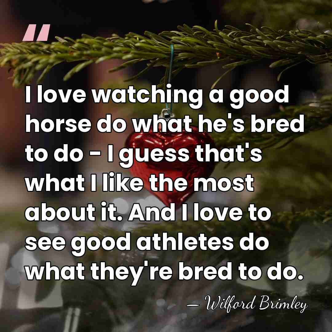 I love watching a good horse do what he's bred to do&hellip; - Wilford Brimley