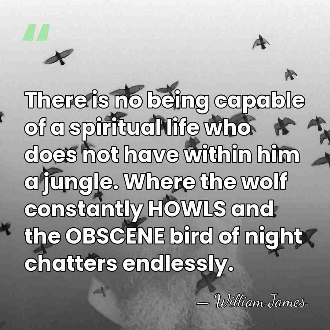 There is no being capable of a spiritual life who does not&hellip; - William James