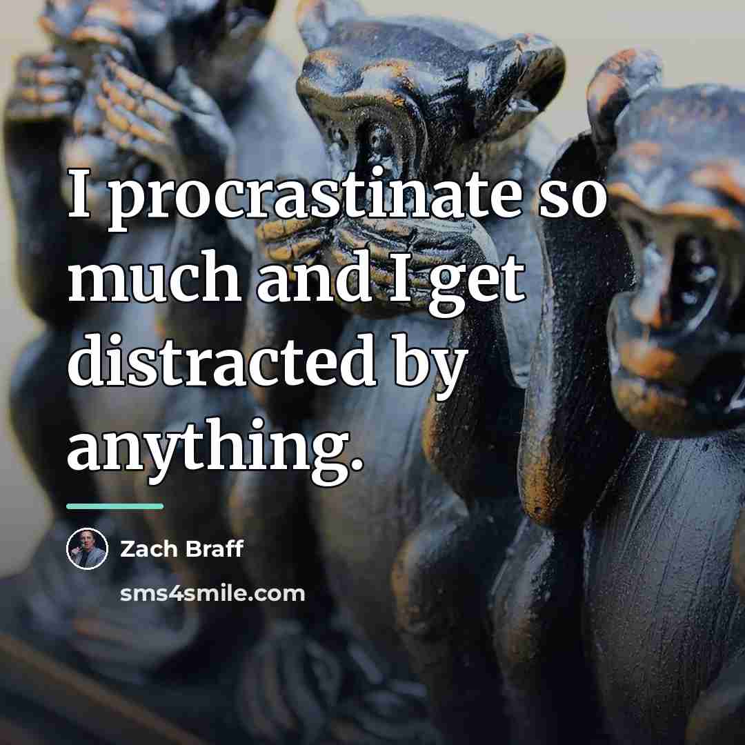 “I procrastinate so much and I get distracted by anything.…” quote by Zach Braff