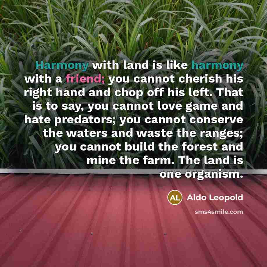 “Harmony with land is like harmony with a friend; you…” quote by Aldo Leopold