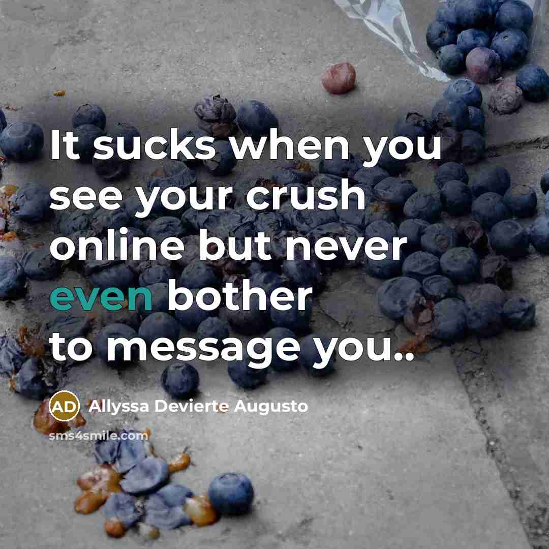 “It sucks when you see your crush online but never even bother to message you..” quote by Allyssa Devierte Augusto