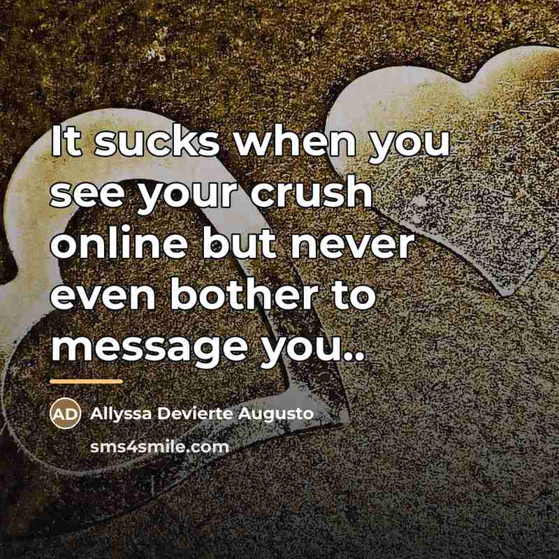 “It sucks when you see your crush online but never…” quote by Allyssa Devierte Augusto
