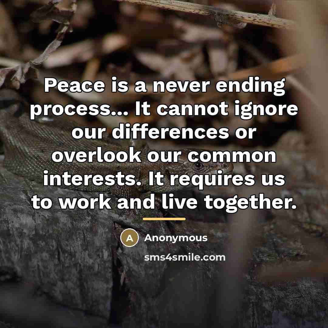 “Peace is a never ending process... It cannot ignore our…” quote by Anonymous