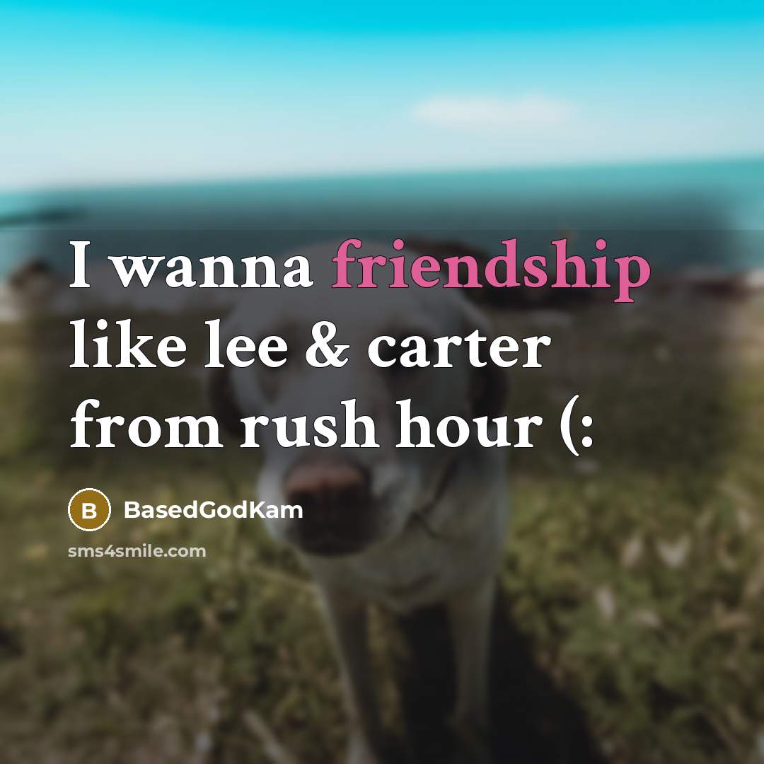 “I wanna friendship like lee & carter from rush hour…” quote by BasedGodKam