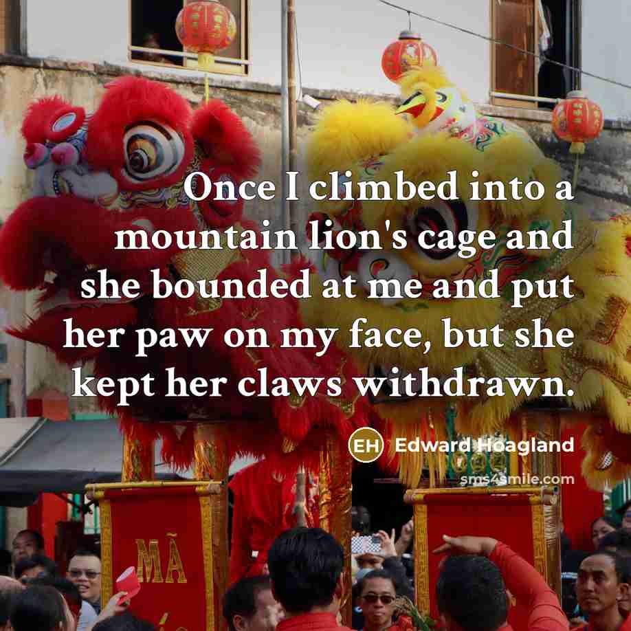 “Once I climbed into a mountain lion's cage and she…” quote by Edward Hoagland