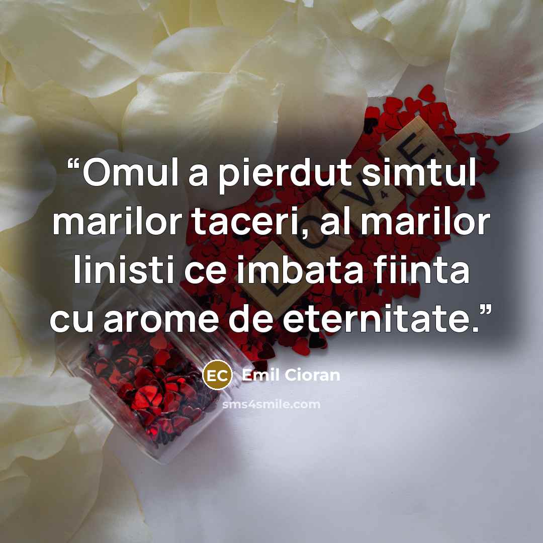 “Omul a pierdut simtul marilor taceri, al marilor linisti ce imbata fiinta cu arome de eternitate.” quote by Emil Cioran