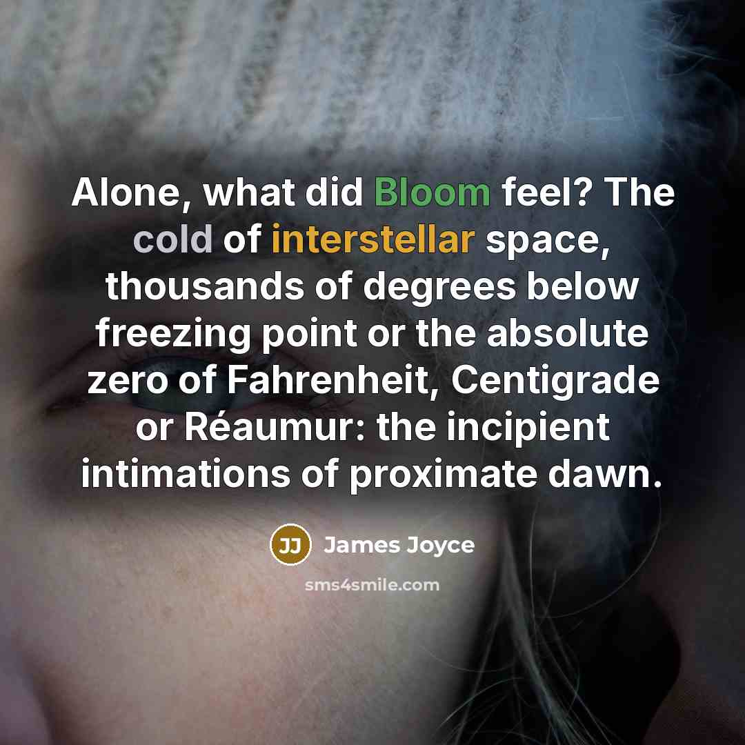 “Alone, what did Bloom feel? The cold of interstellar space, thousands of degrees below freezing point or the absolute zero of Fahrenheit, Centigrade or Réaumur: the incipient intimations of proximate dawn.” quote by James Joyce