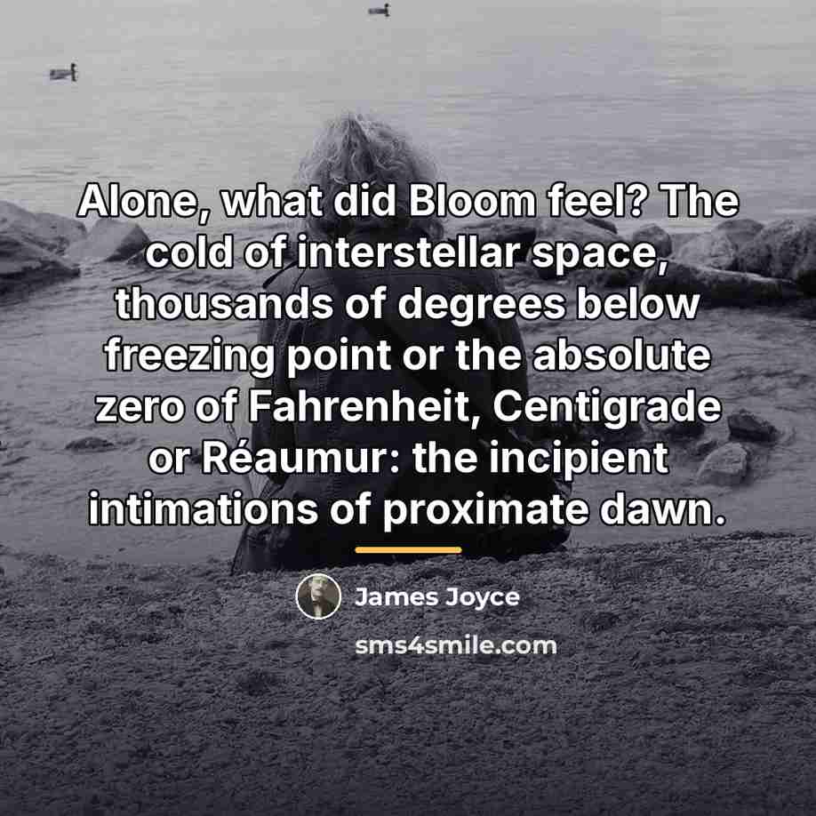 “Alone, what did Bloom feel? The cold of interstellar space,…” quote by James Joyce