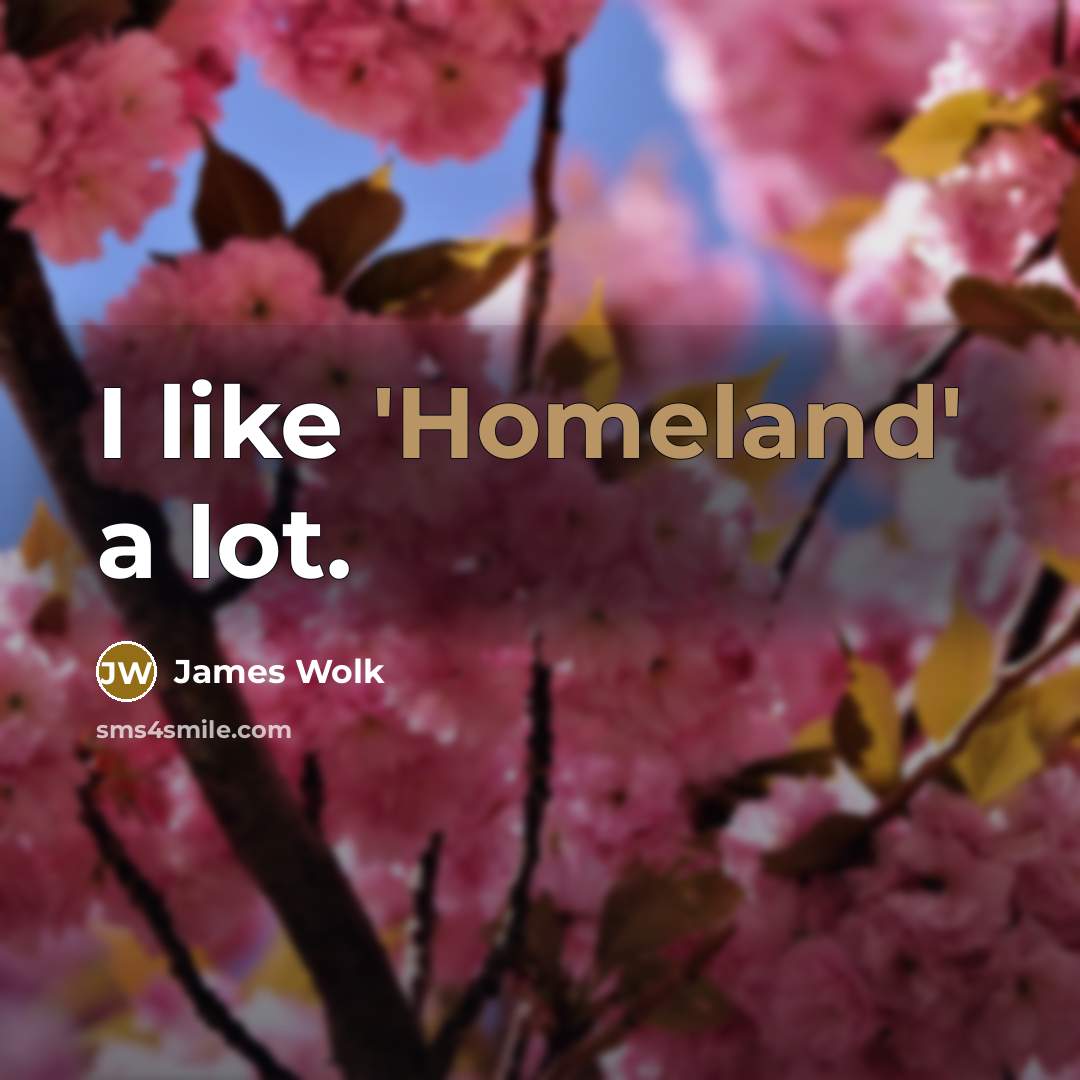 “I like 'Homeland' a lot.…” quote by James Wolk