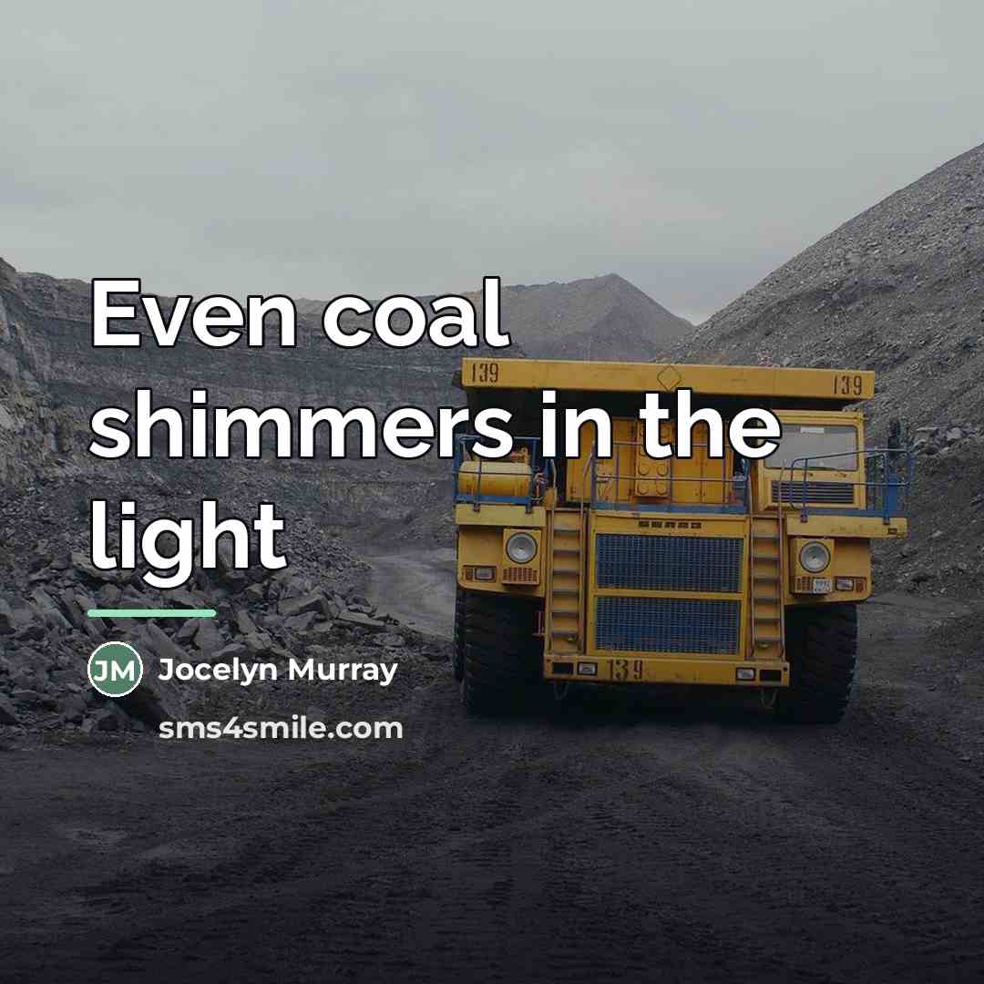 “Even coal shimmers in the light…” quote by Jocelyn Murray