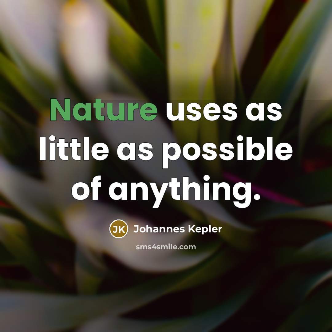 “Nature uses as little as possible of anything.…” quote by Johannes Kepler