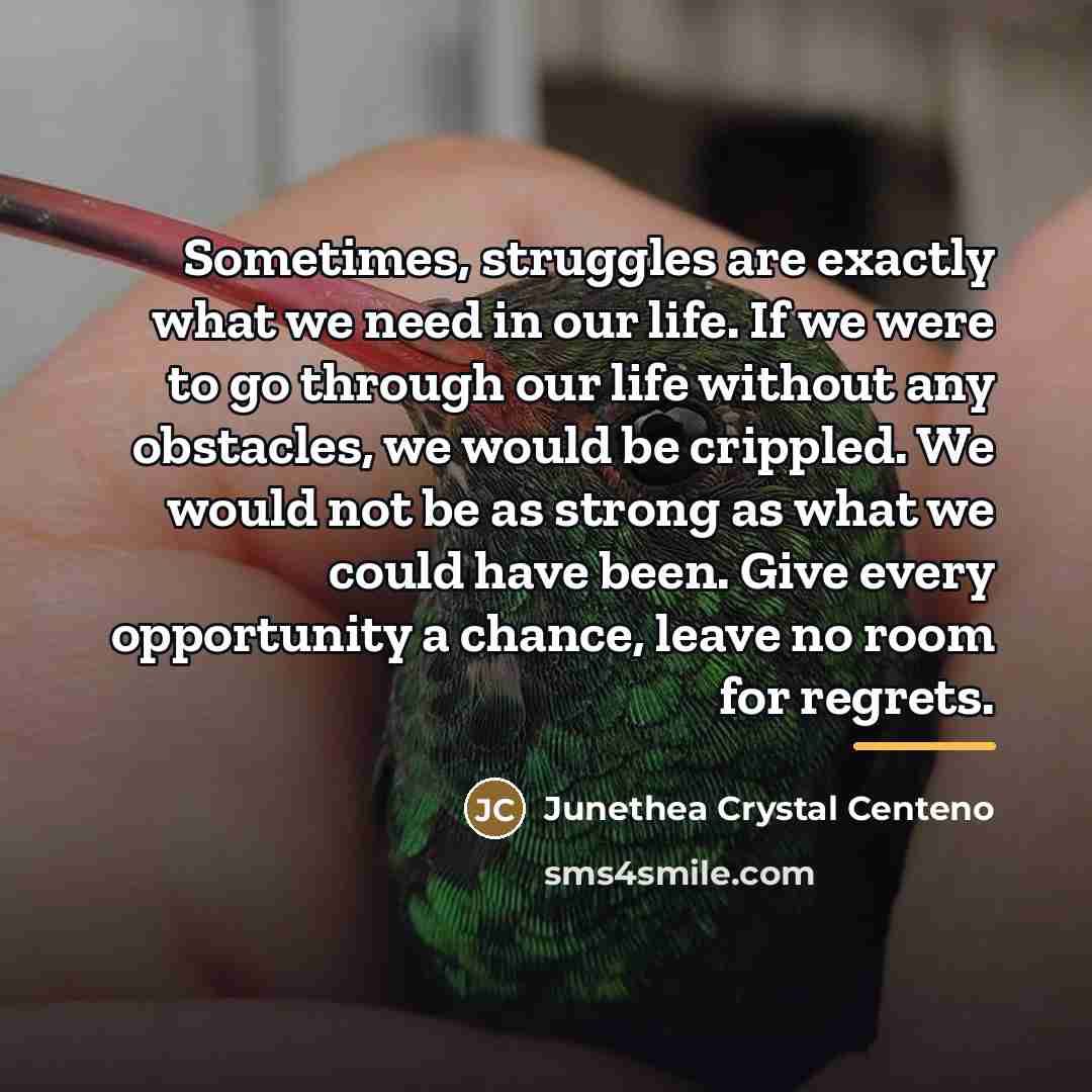 “Sometimes, struggles are exactly what we need in our life.…” quote by Junethea Crystal Centeno