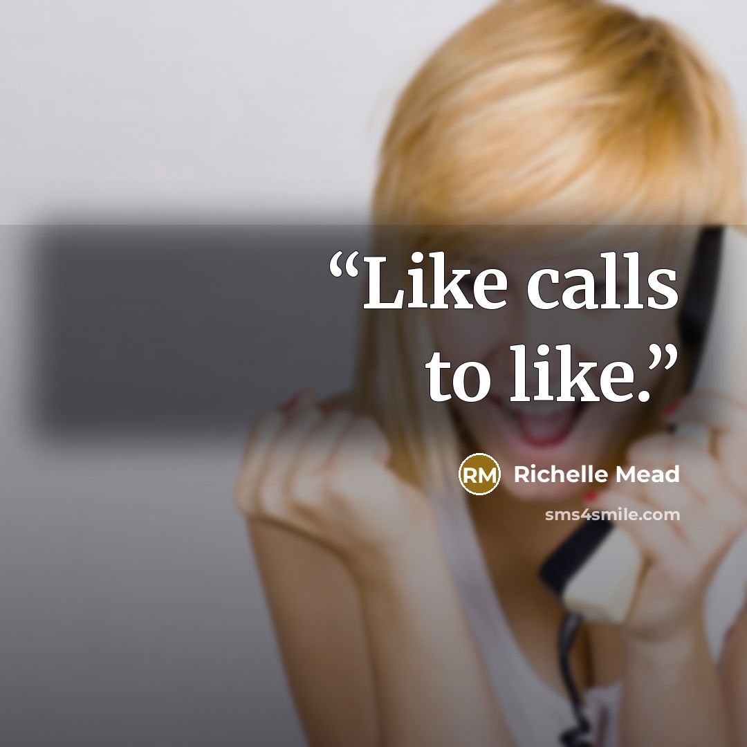 “Like calls to like.” quote by Richelle Mead