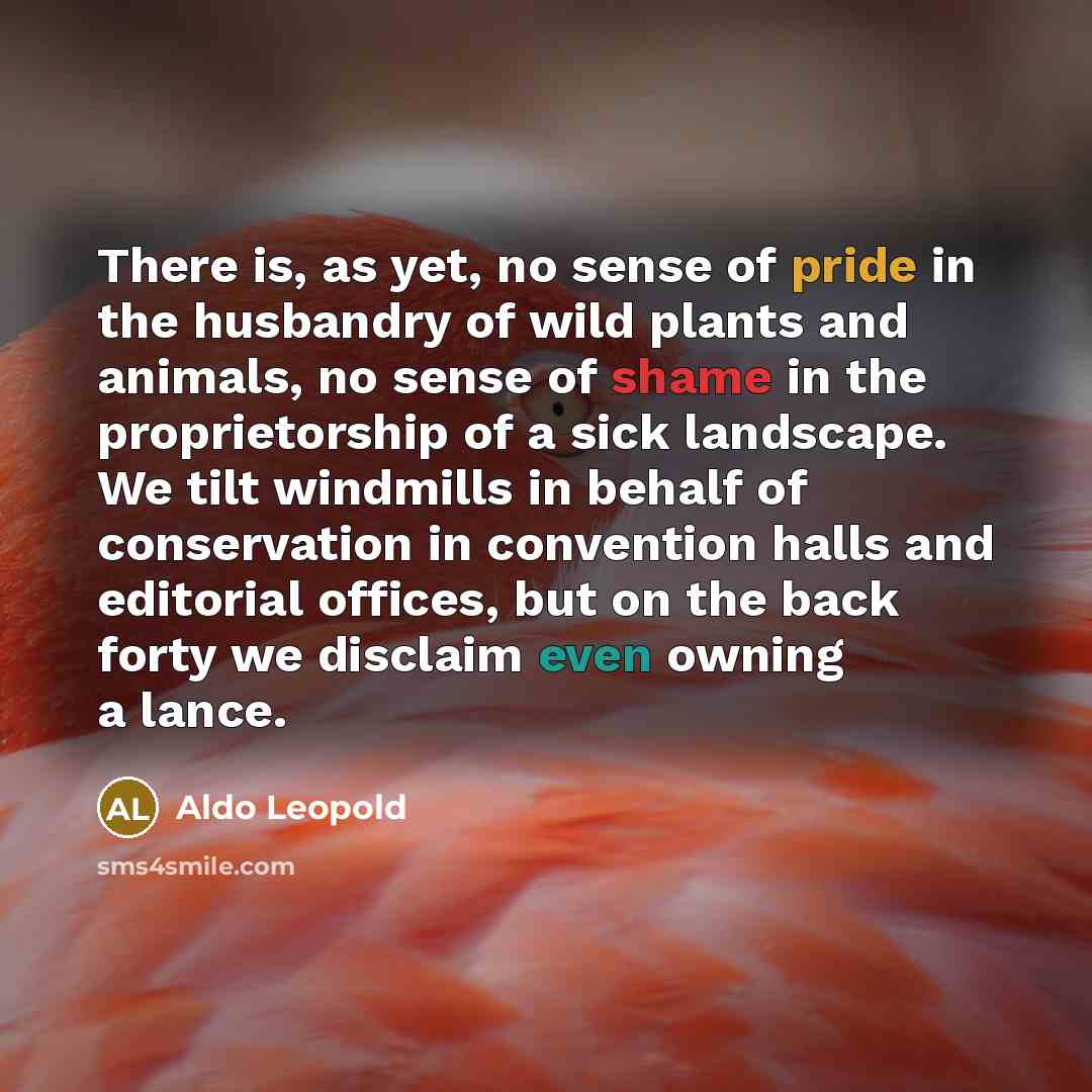 “There is, as yet, no sense of pride in the…” quote by Aldo Leopold