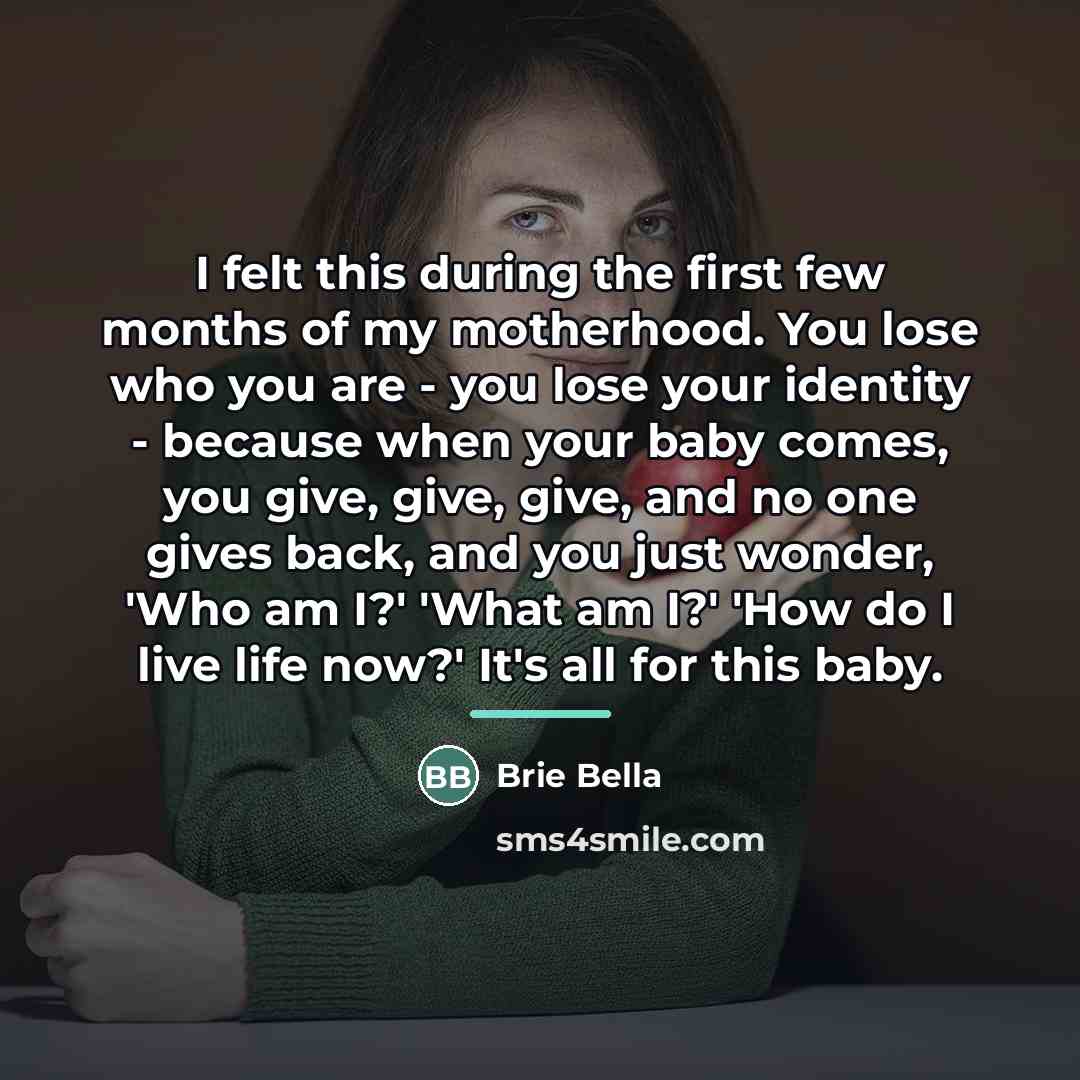 “I felt this during the first few months of my…” quote by Brie Bella