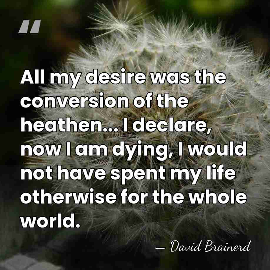 All my desire was the conversion of the heathen... I declare, now&hellip; - David Brainerd