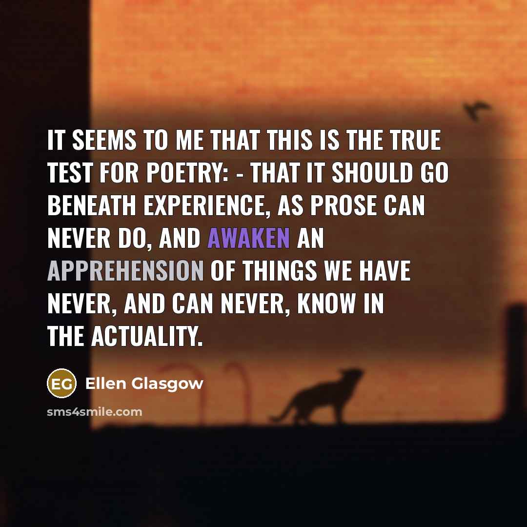 “It seems to me that this is the true test…” quote by Ellen Glasgow