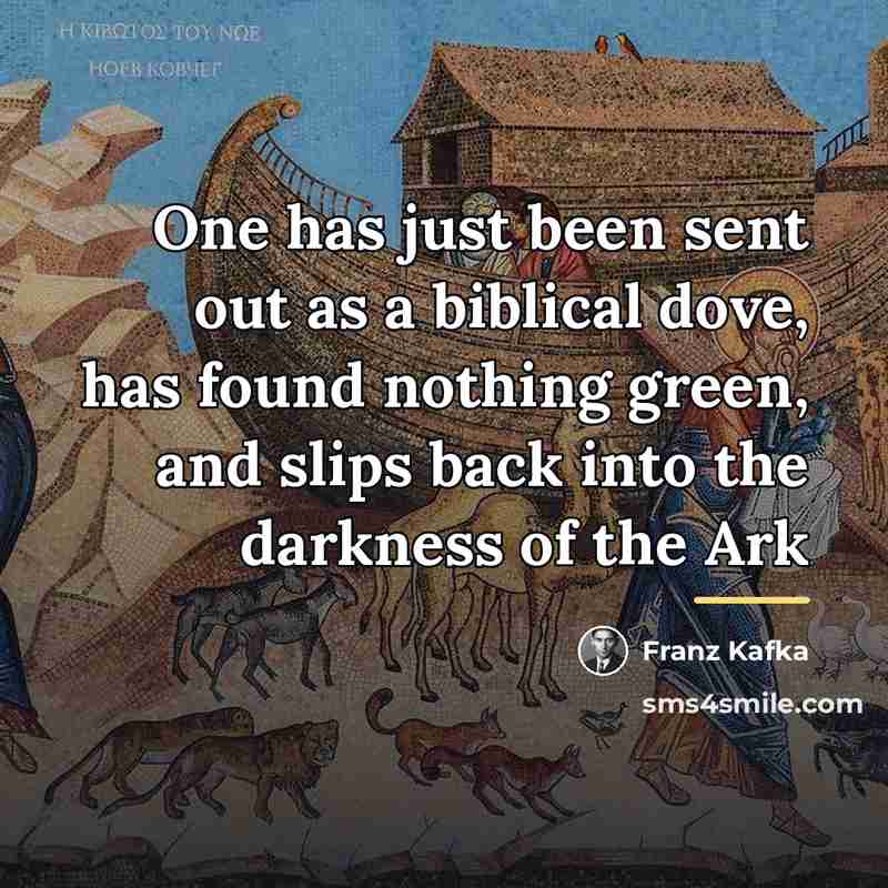 “One has just been sent out as a biblical dove,…” quote by Franz Kafka