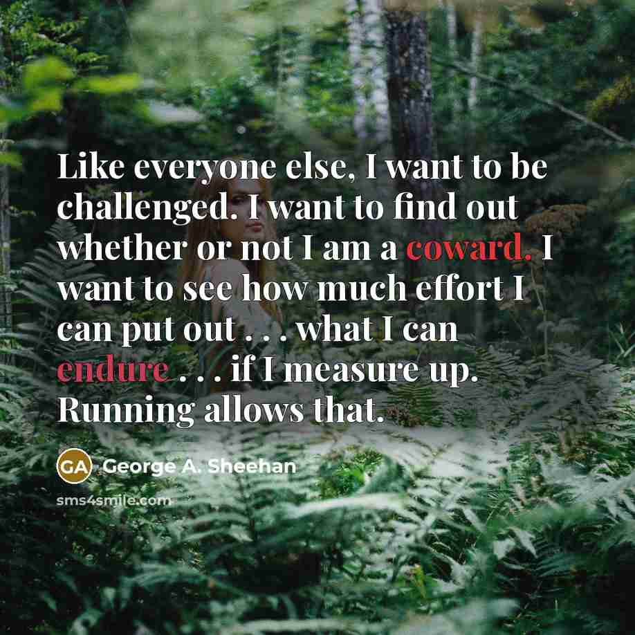 “Like everyone else, I want to be challenged. I want…” quote by George A. Sheehan