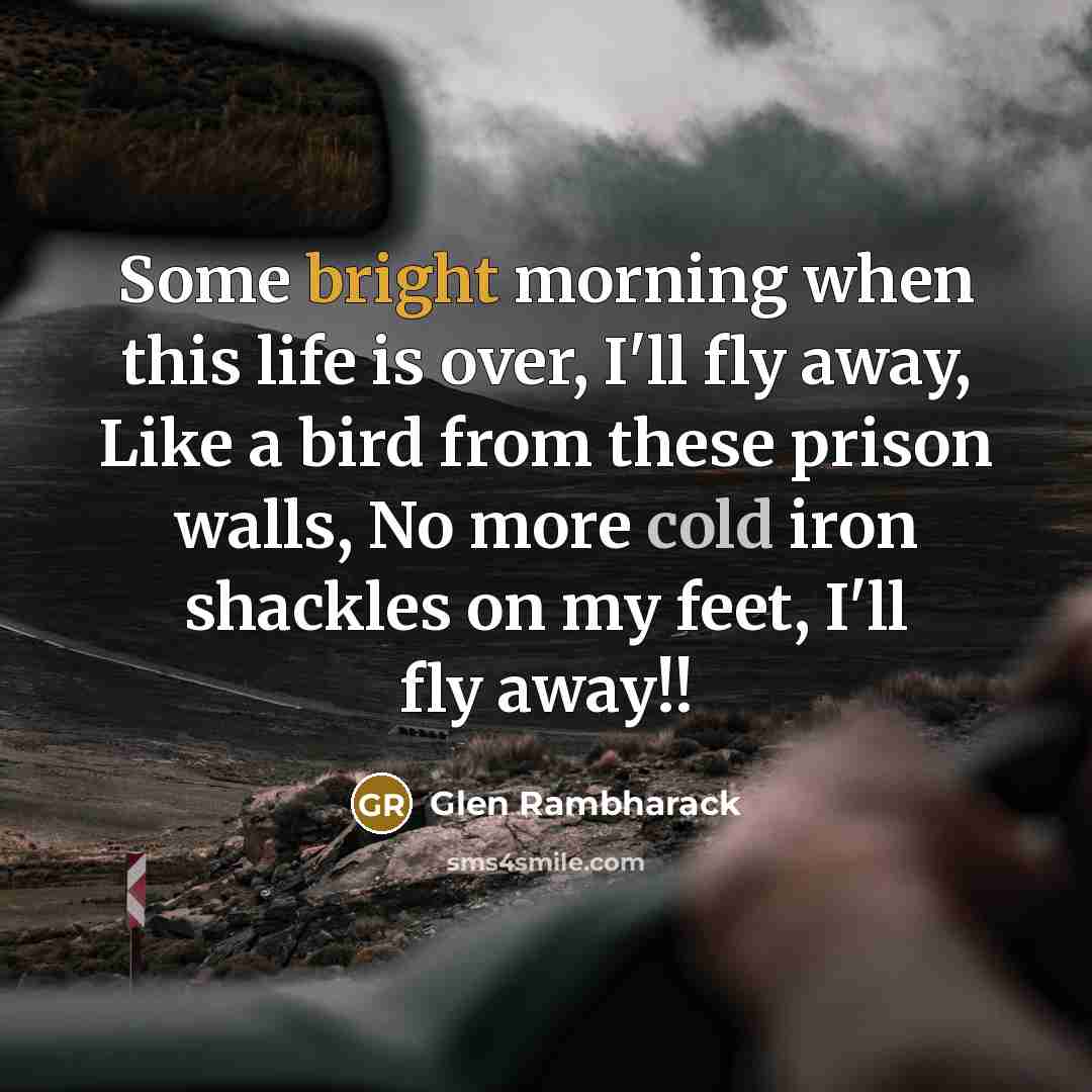 “Some bright morning when this life is over, I'll fly away, Like a bird from these prison walls, No more cold iron shackles on my feet, I'll fly away!!” quote by Glen Rambharack