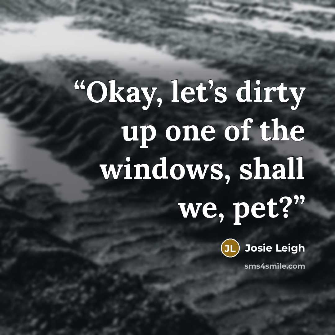 “Okay, let’s dirty up one of the windows, shall we, pet?” quote by Josie Leigh