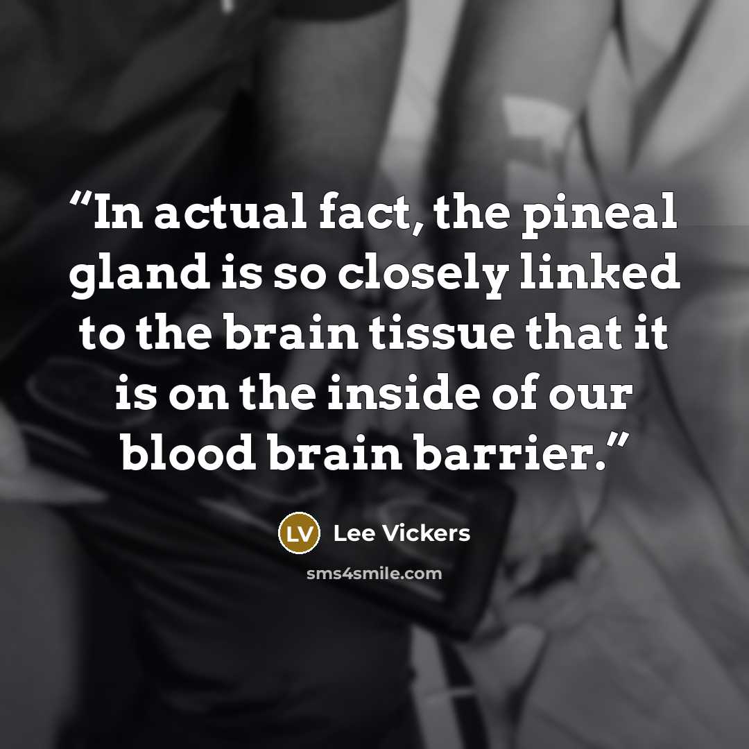 “In actual fact, the pineal gland is so closely linked to the brain tissue that it is on the inside of our blood brain barrier.” quote by Lee Vickers