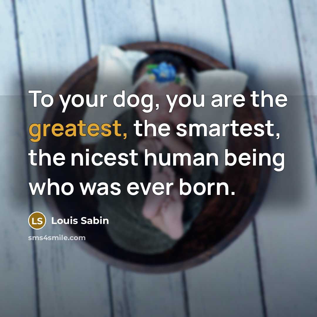 “To your dog, you are the greatest, the smartest, the nicest human being who was ever born.” quote by Louis Sabin