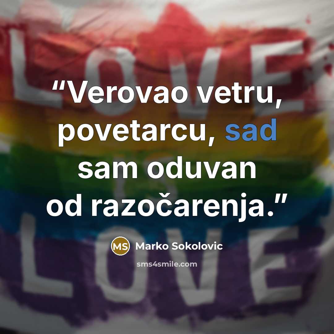 “Verovao vetru, povetarcu, sad sam oduvan od razočarenja.” quote by Marko Sokolovic
