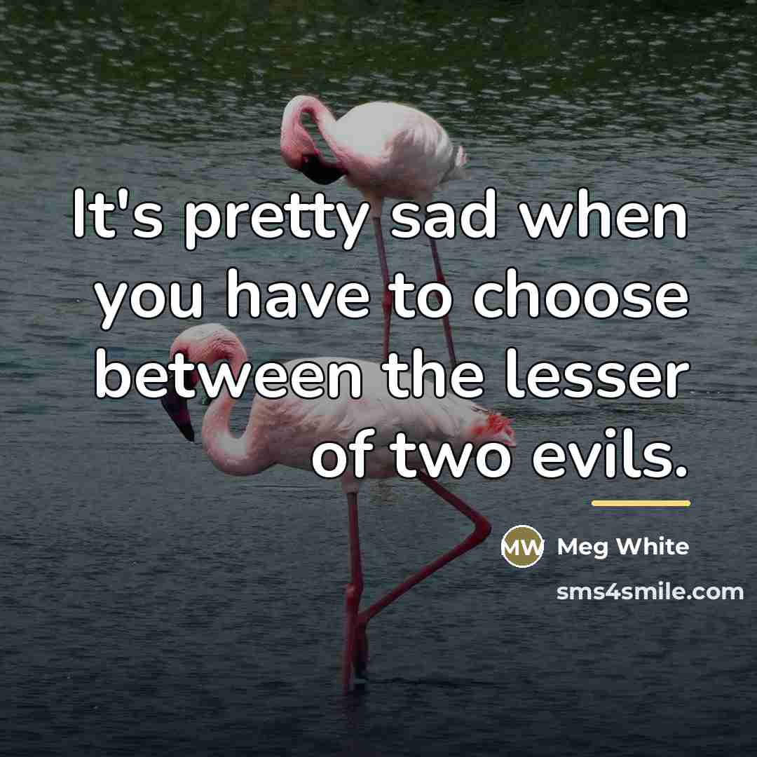 “It's pretty sad when you have to choose between the…” quote by Meg White